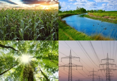 Image collage of corn, water canal, trees, power lines